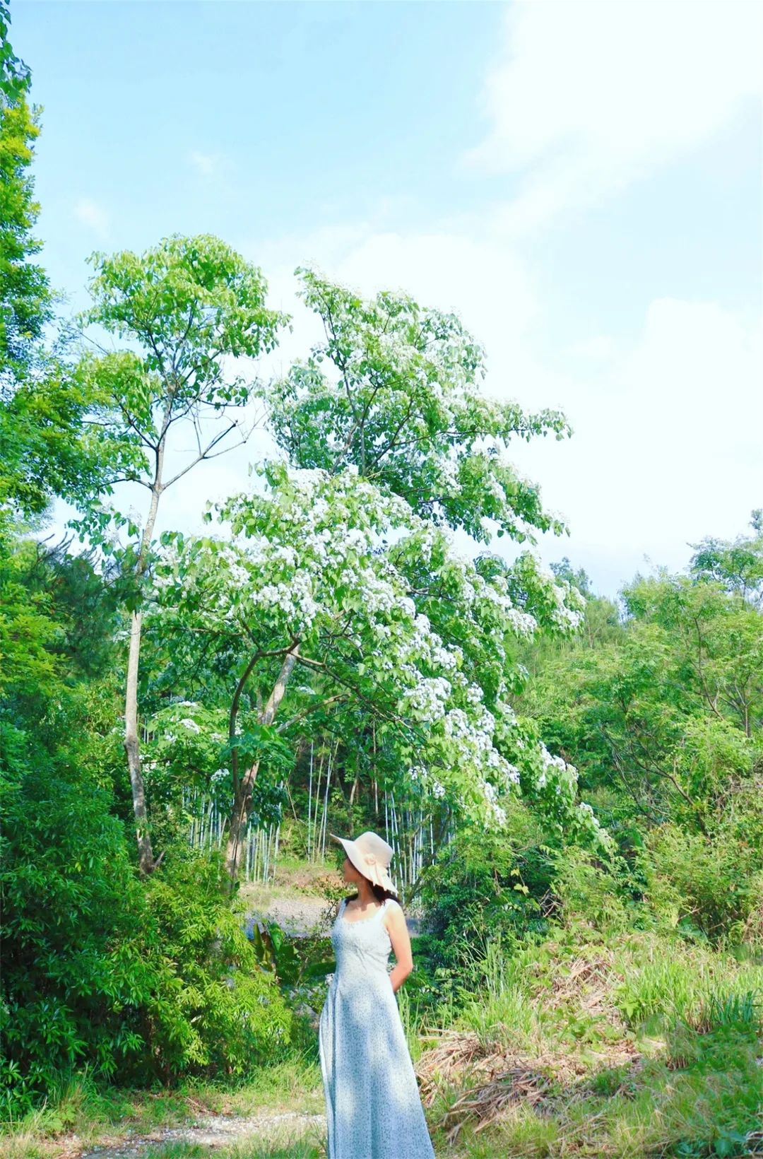 DƬ